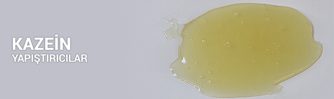 KAZEİN SENTETİK YAPIŞTIRICILAR